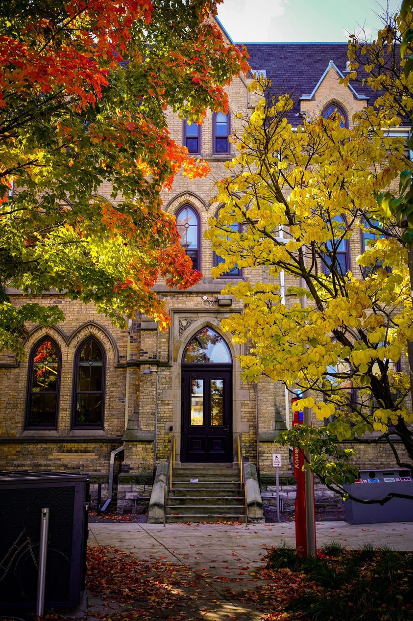 Fall trees surrounding the Daniels Building