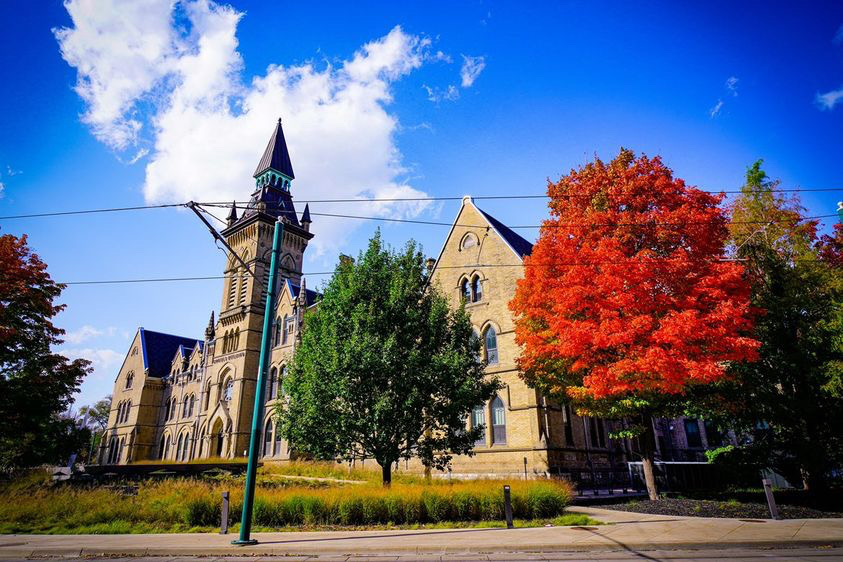 Fall trees surrounding the Daniels Building