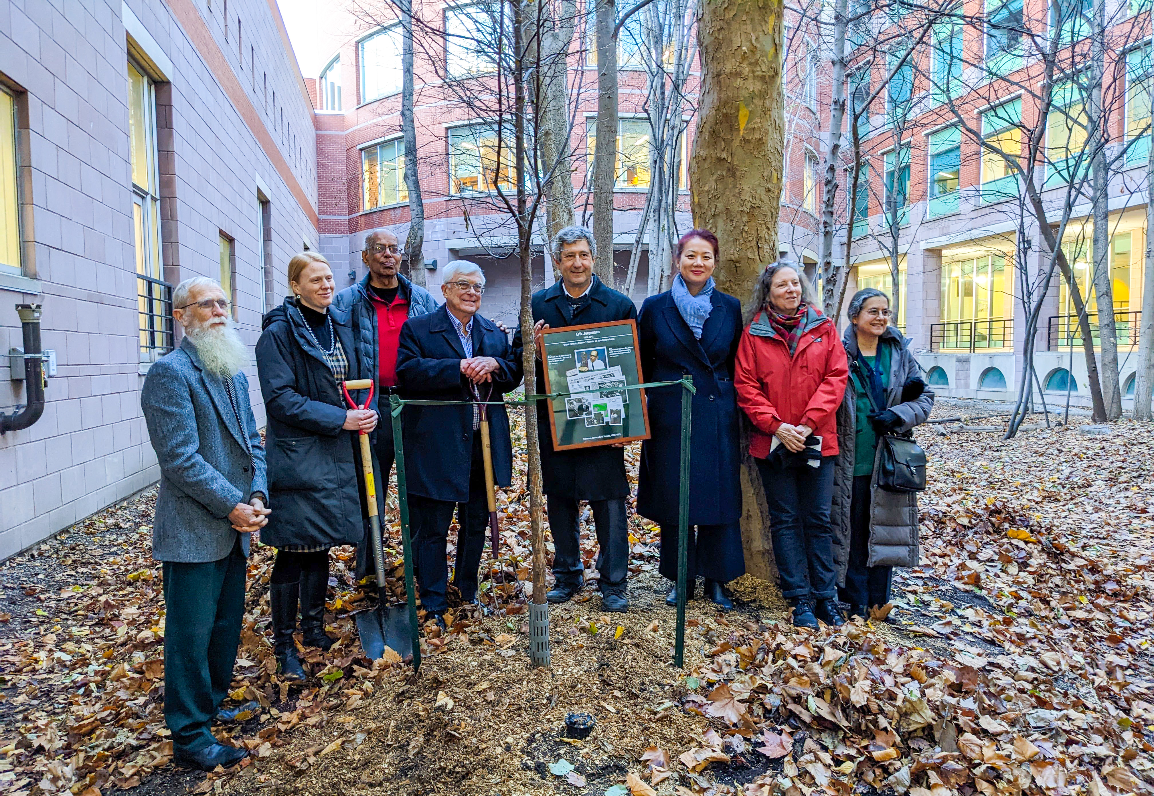 tree planting