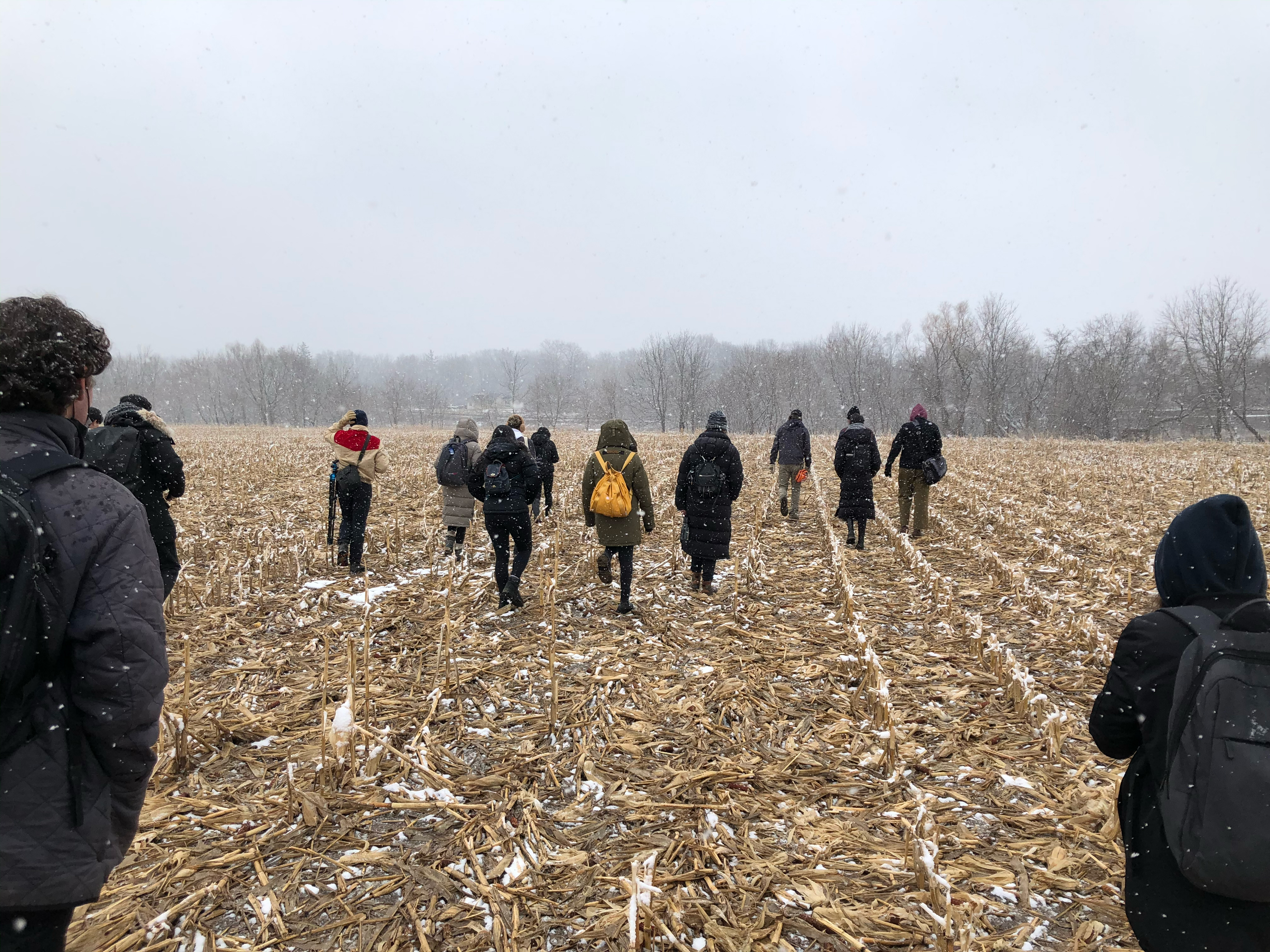 Site visit for Design studio 2: Site, Matter, Ecology, and Indigenous Storywork