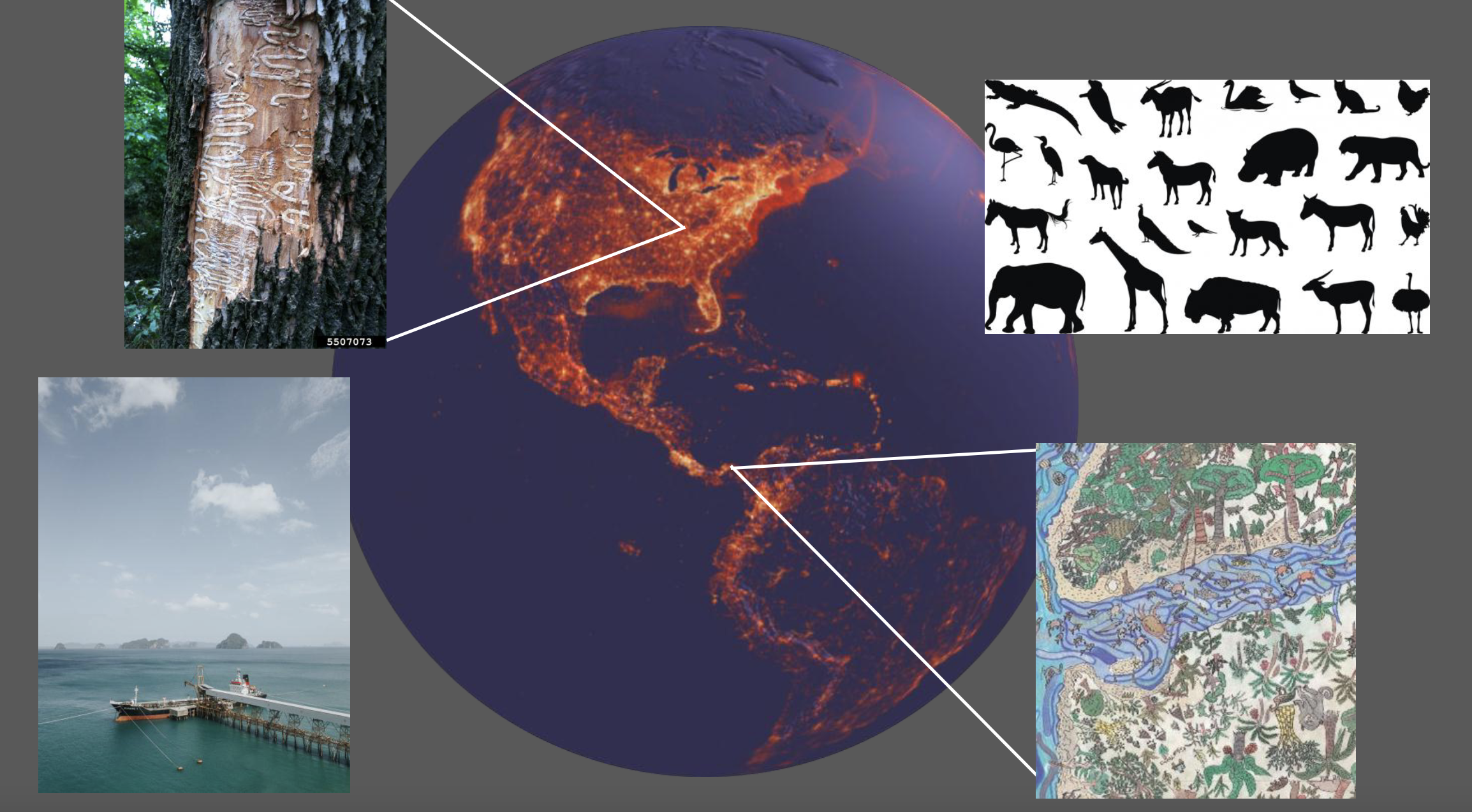 understanding the changing environment