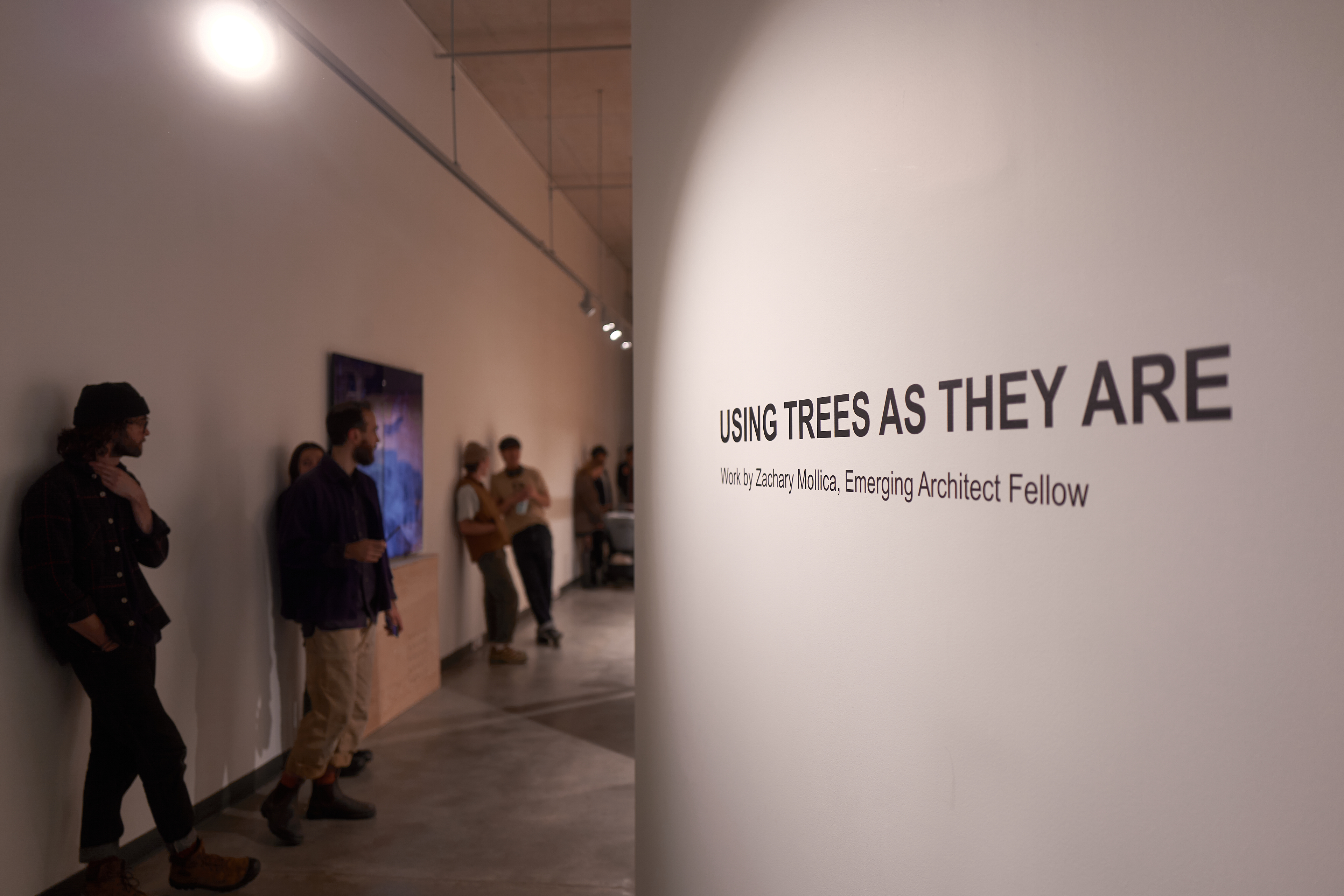 USING TREES AS THEY ARE exhibition 3