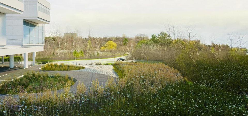OAA Headquarters landscape design