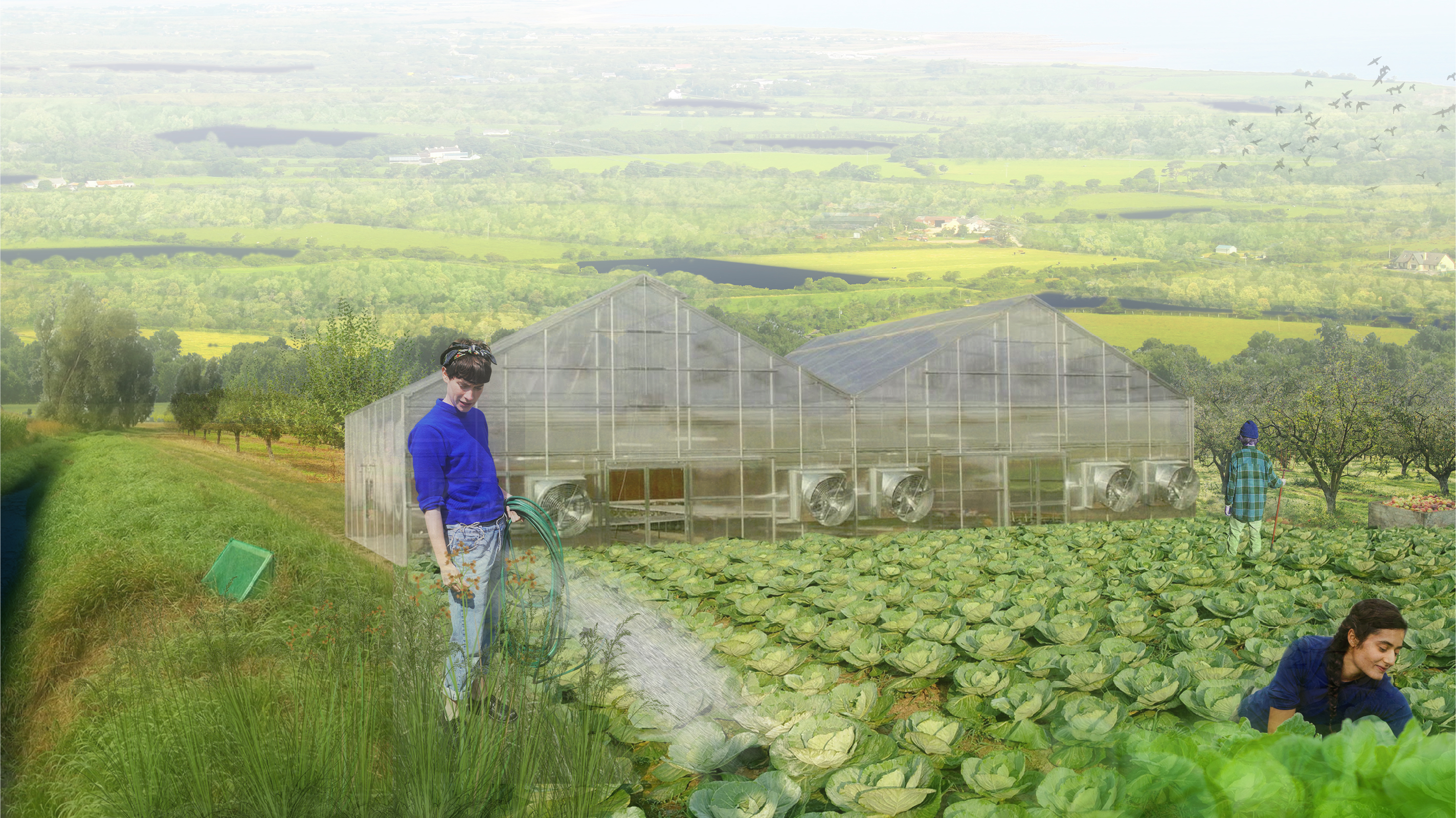 Sandra Cook's Thesis project Wet Land rendering