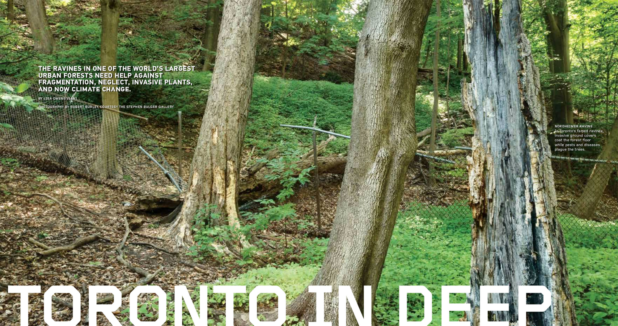 Landscape Architecture Magazine spread