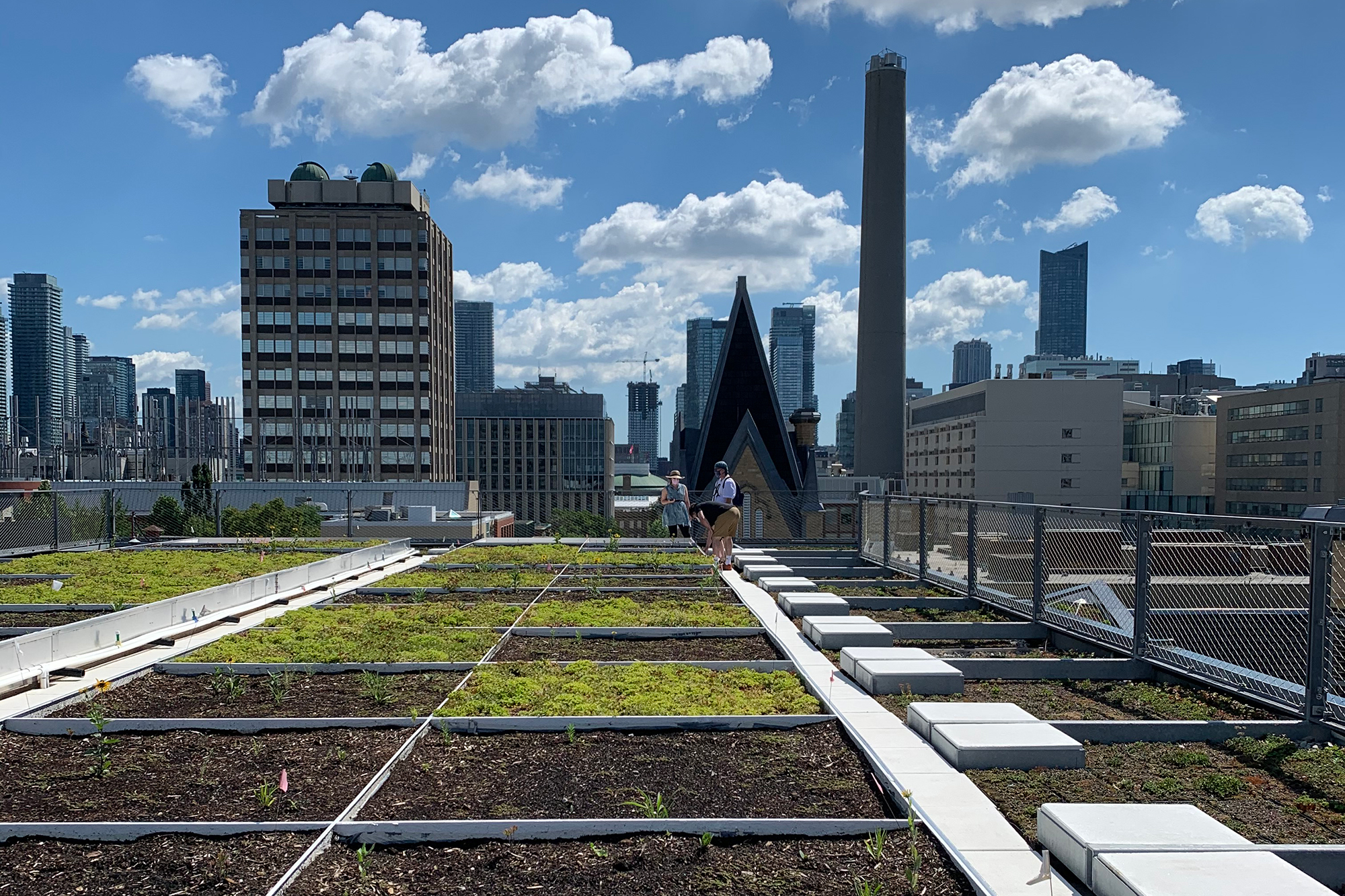 Green Roof