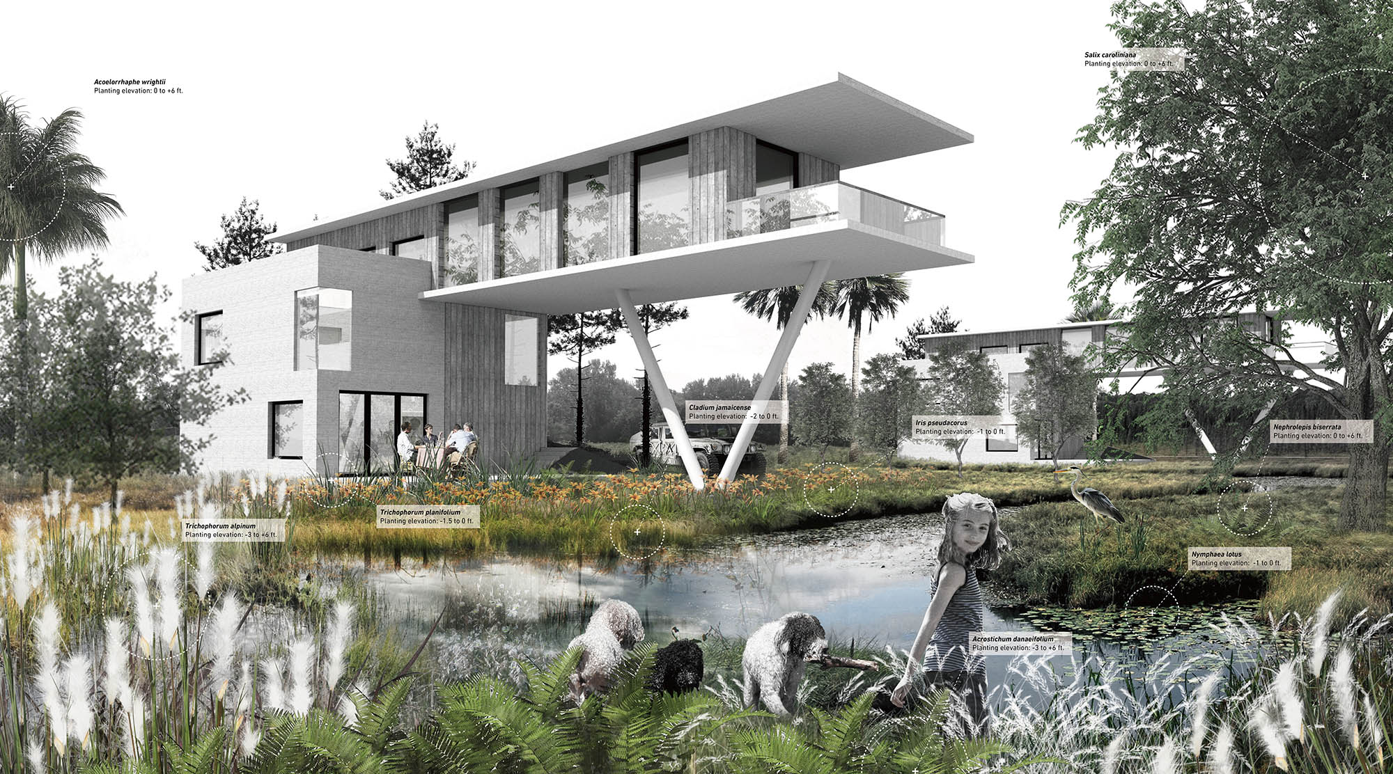 Project Rendering by  Meikang Li, Qiwei Song, and Chaoyi Cui 