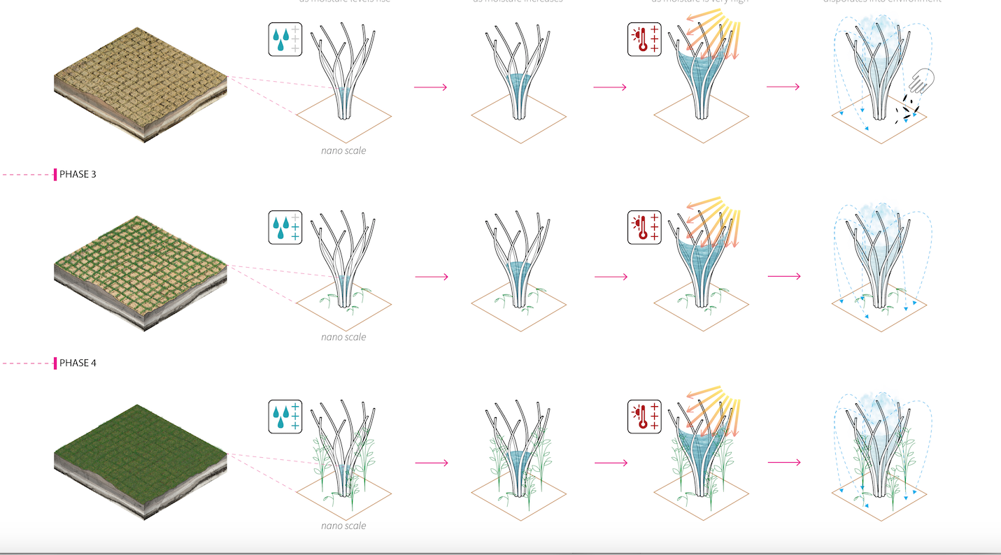 daylight to water diagram