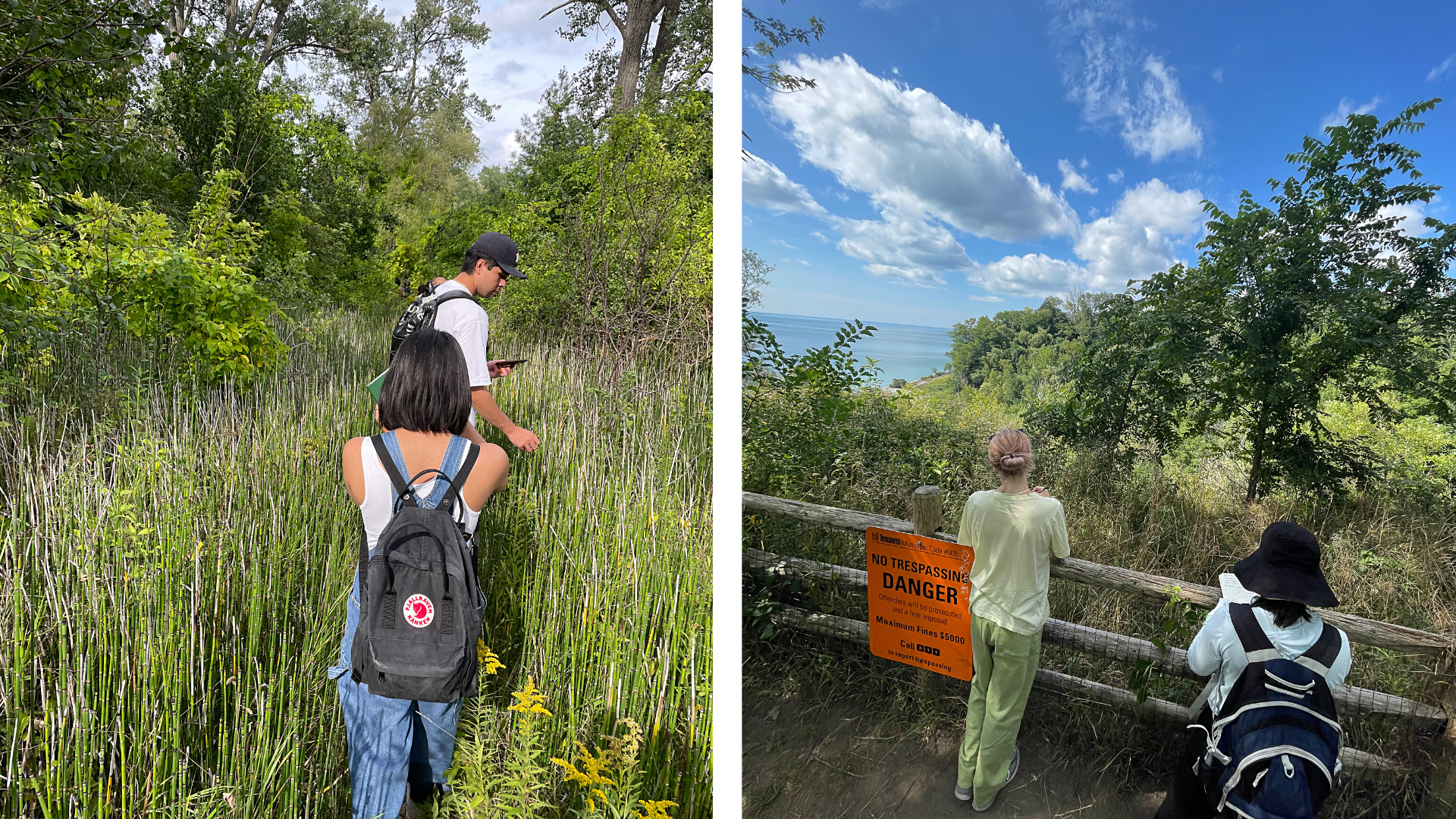 Two images of students walking through grass and students at the Toronto Islands.