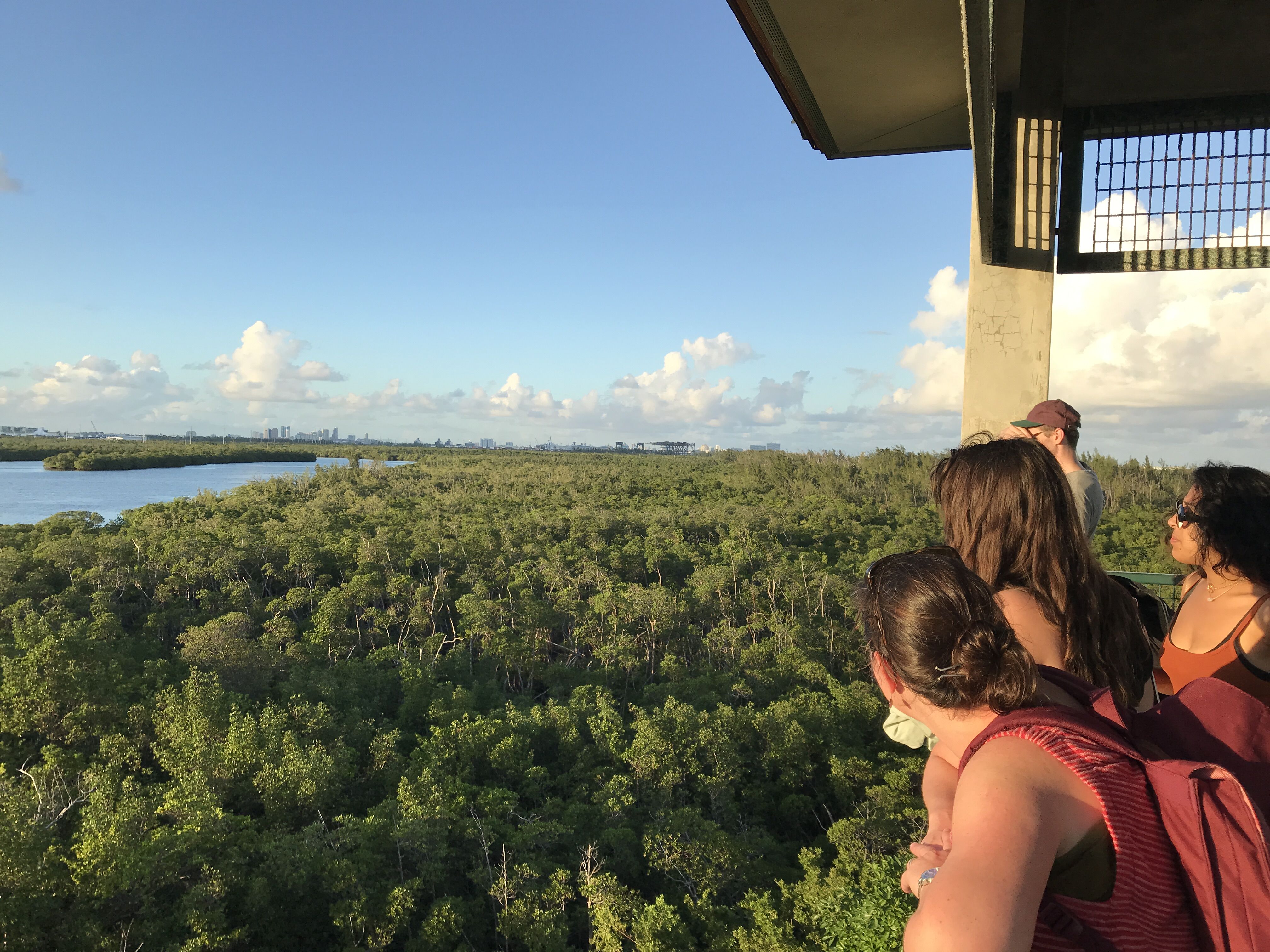 Daniels students at Mangrove park in South Florida