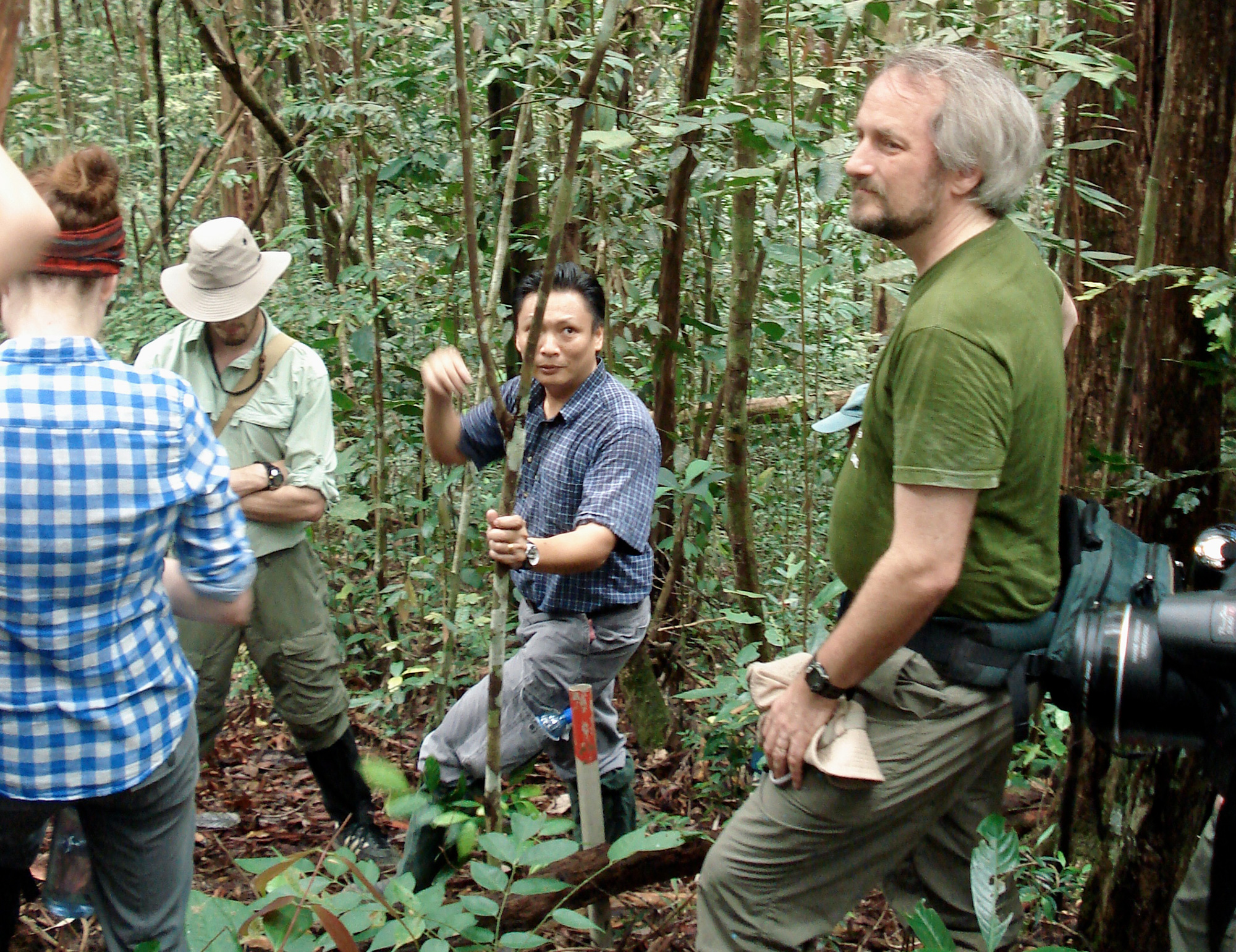 Sean Thomas in a forest plot in Borneo 