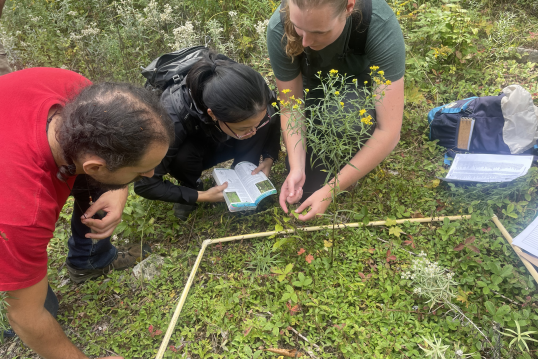 forestry field work 2022