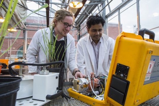 forestry phd students